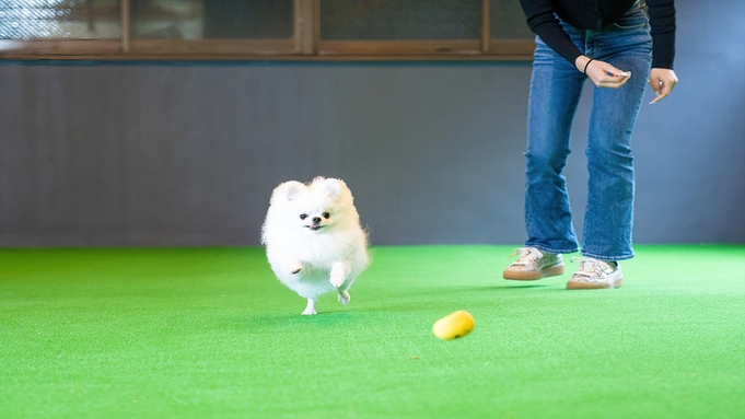 【朝食のみ】わんちゃん同室OK！全室絶景の露天風呂温泉付＜ドッグランも一緒に楽しめる宿＞　